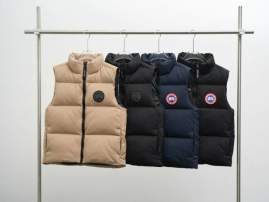 Picture of Canada Goose Down Jackets _SKUCanadaGooseXS-2XL26yr9237818